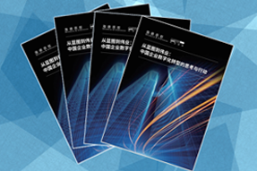 《从蓝图到伟业：中国企业数字化转型的思考与行动》